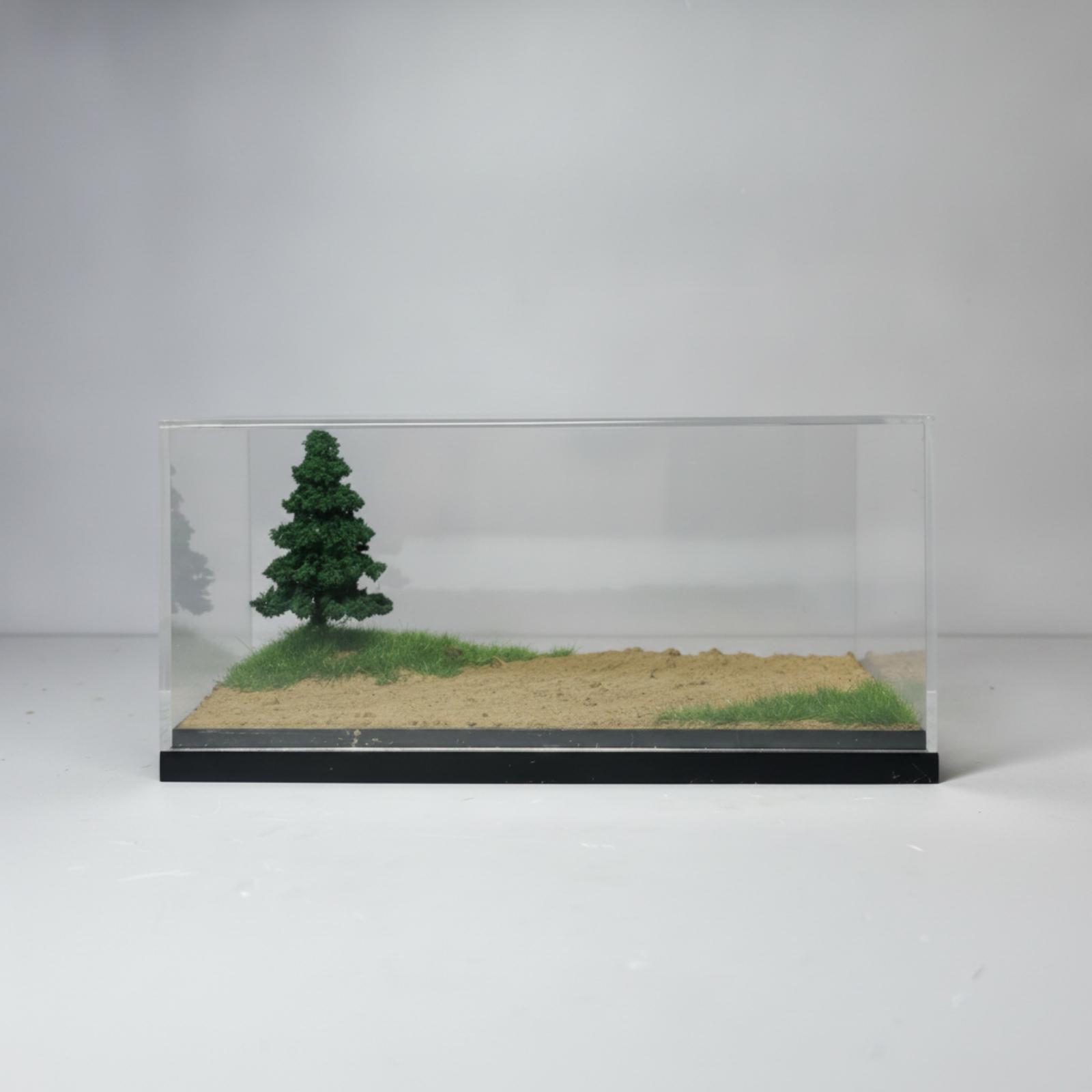 Miniature Racing Display Box w - Display Case Acrylic review and price