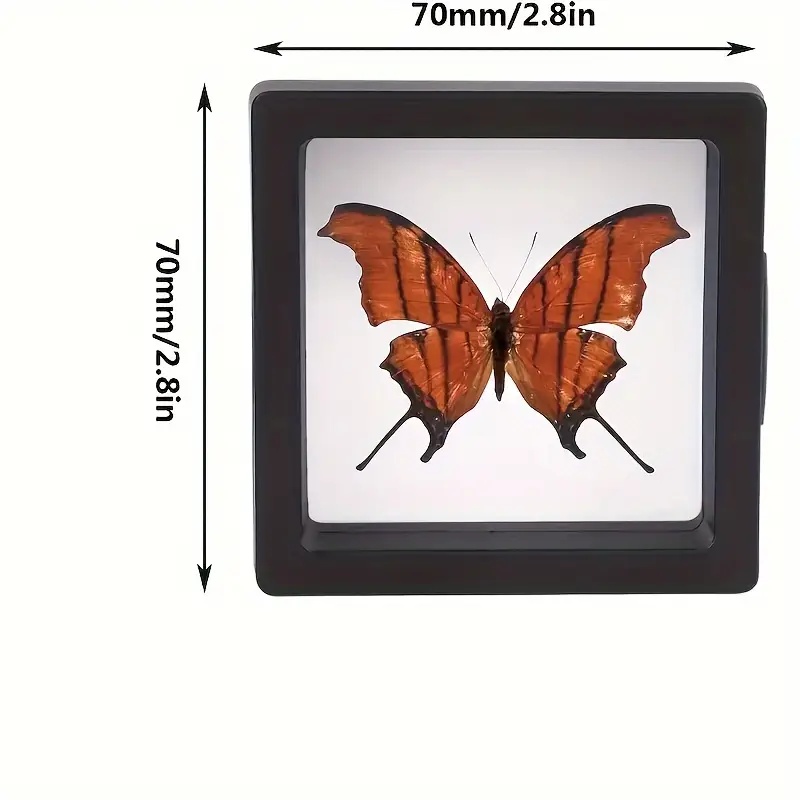 20Pcs Clearview 3D Floating Di - Display Case Acrylic review and price